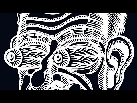 FRKZ - CHECK your HeaD