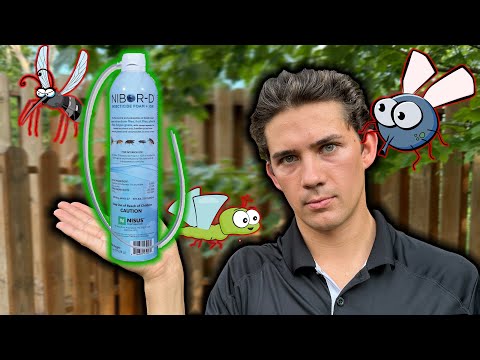 How I Get Rid of Fungus Gnats, Fruit Flies, and Drain Flies