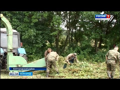 В Белгороде стартовал экологический субботник "Зеленая Россия"