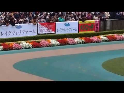 2016.10.30 東京競馬場☆天皇賞☆エイシンヒカリ_01