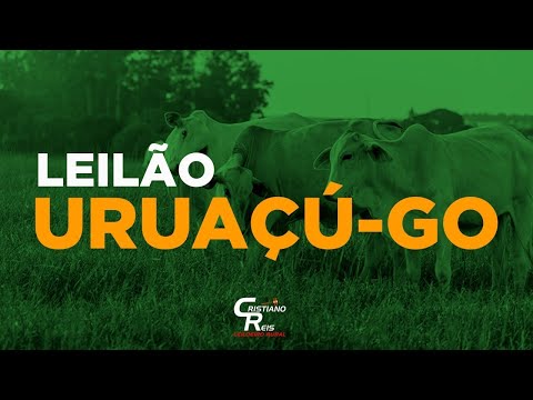 LEILÃO LEILOGADO  DE URUAÇÚ-GO  - 24/04/2024 | LEILÃO AO VIVO DE GADO
