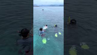 Download lagu Zahra Dare to Swim in the Sea #shorts #swimminginthesea #familyholiday #pahawanglampung mp3