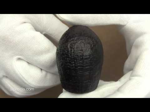 pipa Dunhill 489 - tobacco pipe