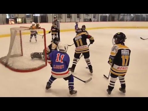 7.2.2016  Slovan - Verva Litvínov 2.třet. (19:6)