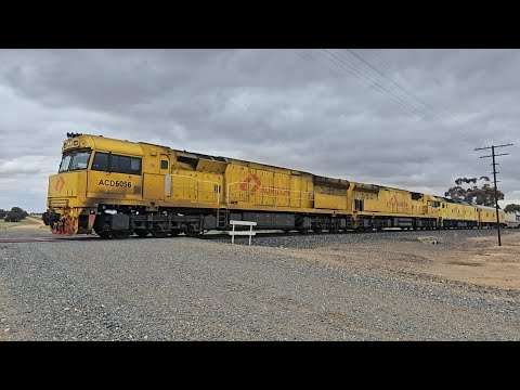 6MP1 Aurizon down Superfreighter (ACD ACD G), Melbourne to Perth, 1550, 6/12/25, Murtoa VIC 