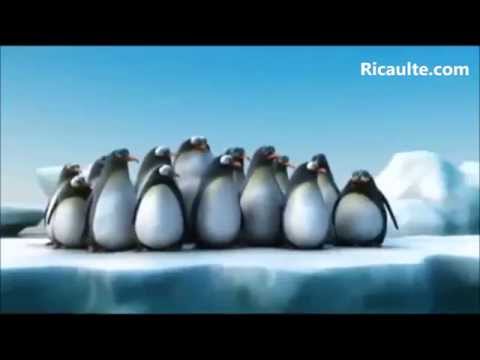 trabajo en equipo Pinguinos, hormigas, cangrejos