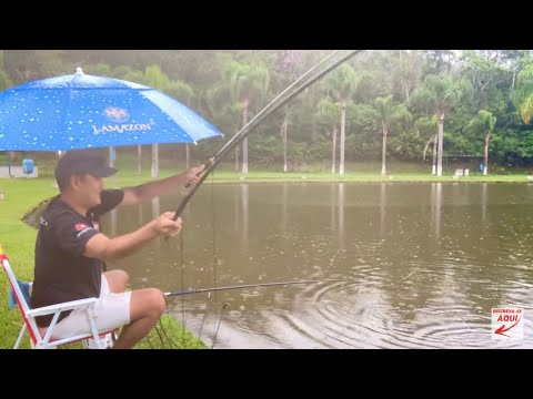 #865         AS TILÁPIAS DEMORARAM PRA ENCOSTAR, MAS DEPOIS QUE ENCOSTARAM SAIU ATÉ DUBLÊ!!!