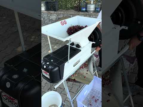 Grifo DSM Salkım Ayırma ve Üzüm Kırma Makinesi