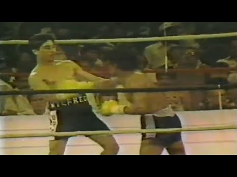WOW!! WHAT A KNOCKOUT - Wilfredo Gomez vs Julio Hernandez, Full HD Highlights