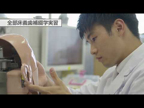 【日本歯科大学 生命歯学部】全部床義歯補綴学実習
