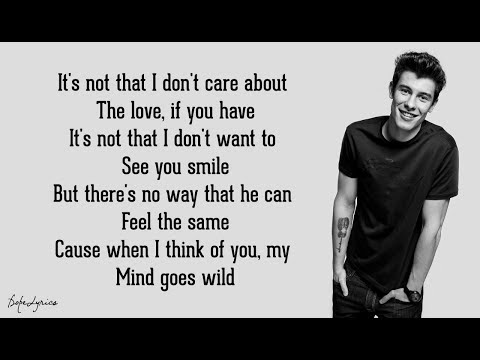 Roses - Shawn Mendes (Lyrics) 🎵