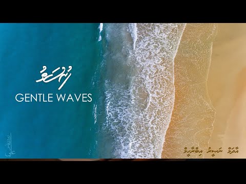 Gentle waves - Ali Rameez