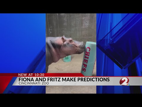 VIDEO: Fritz and Fiona make Super Bowl predictions