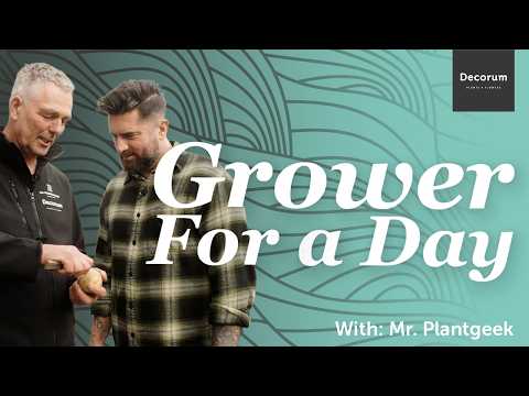 GROWER FOR A DAY - Episode 4  ( With: Mr. Plant Geek )