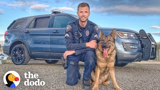 Brave Police Dog Meets His New Baby Sister | The Dodo by The Dodo