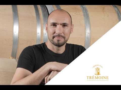 Vinventions - Témoignage Les Vignerons de Trémoine