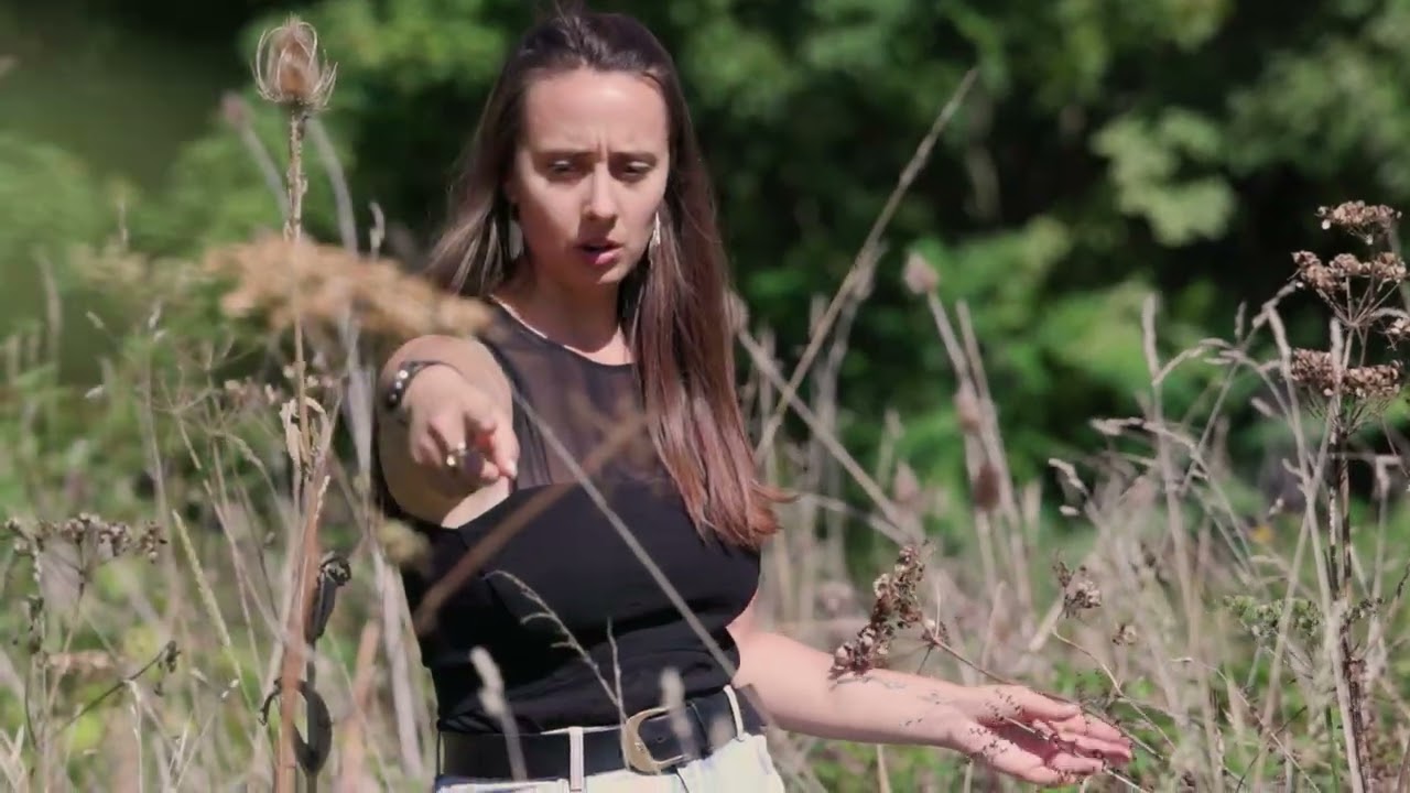Apprenez à reconnaître les plantes sauvages dans le bois de Vincennes - Vidéo