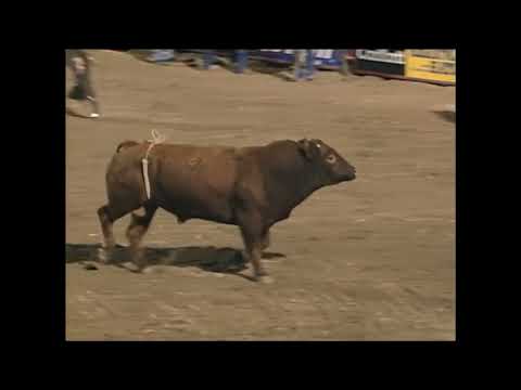 Gilbert Carrillo vs Red Wine - 99 PBR Laughlin (85.5 pts)