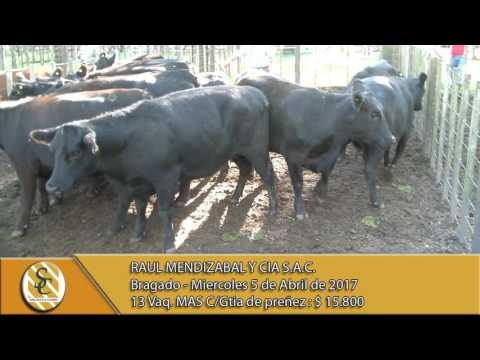 05-04-17 Venta de Vientres - Raul Mendizabal y Cia S.A.C. - Bragado.