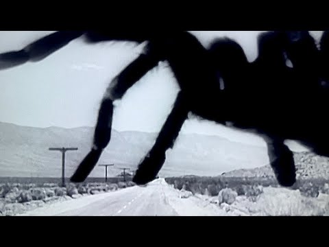 TARANTULA (1955) - TERRIFYING GIANT SPIDER CHASES & DEVOURS TWO MEN AT THE CAMPFIRE!! 😱🔥🕷️