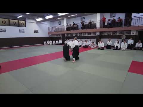Hiroyuki Sakurai Shihan Class in Romania