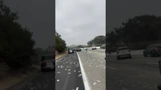 Drivers Scramble To Pick Up Money After Armoured Truck Spilled Cash On The Highway In U.S.