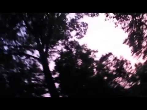 Stale Dutches - Trizz