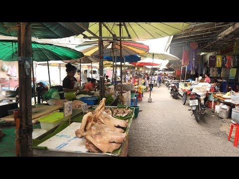 [4K] Cuidado com o sangue! Passeie da estação Lopburi em Monkey City, Tailândia, até o mercado em 2018