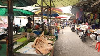preview picture of video '【4K】Walking Lop Buri Monkey City in Thailand From Train Station in 2018'