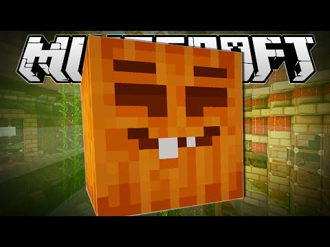 Minecraft | GOOFY PUMPKIN!! | Hide N Seek Minigame Video