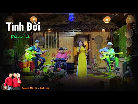 Tình Đời ( Duyên Kiếp Cầm Ca ) Phương Linh Bolro Mái Lá -  Hát Live