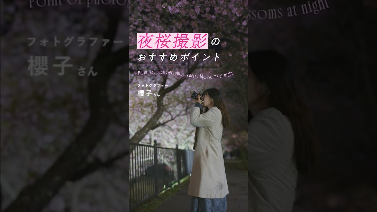 夜桜撮影のおすすめポイント | 櫻子さん #nicostop #nikon  #カメラ  #写真 #フォトグラファー #櫻子 #桜 # 夜桜 #夜間撮影 #shorts