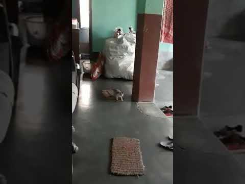 This is a new one...👌👌