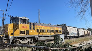 Sierra Northern 2666 cement run rolling though Cameron street with 27 cement cars