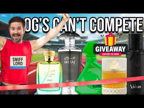 I Own 100s of Clone Fragrances - These Are the 20 Best