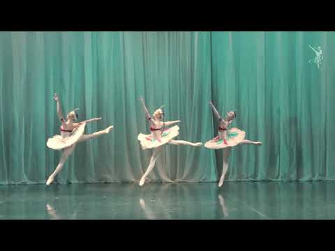 Odalisques Pas de Trois - Vaganova Academy (Maria Zatoka, Miyu Tobata, Sofya Solomina)