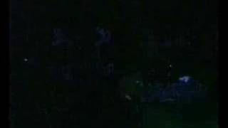 The Wildhearts - Liberty Cap / Shame On Me (London Forum 94)