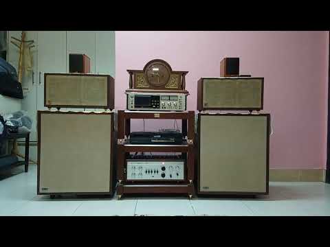 LK: Nếu Xuân Này Vắng Anh & Tôi Chưa Có Mùa Xuân