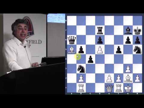 Lecture with GM Yasser Seirawan (Analyze This! | Member Game Analysis) - 2014.03.04