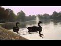 MIRI 4K HD NATYR TEST MISTERIUM X