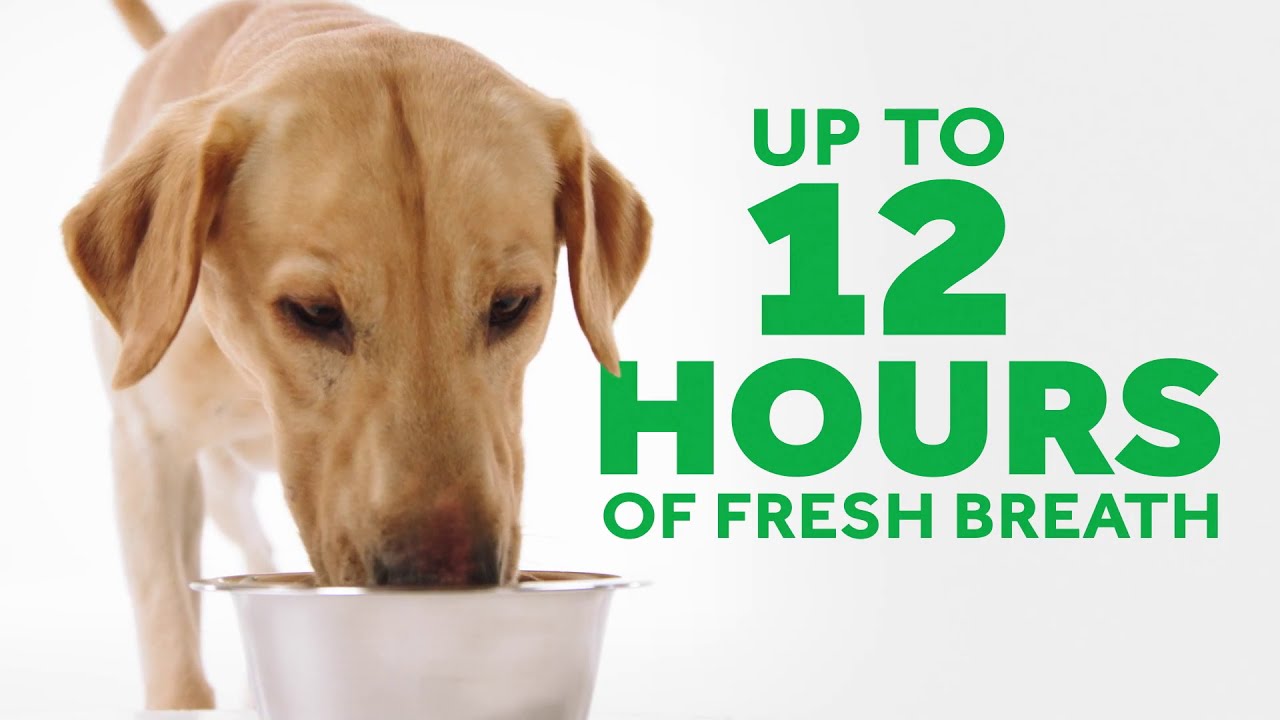 Watch TropiClean Video