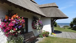 preview picture of video 'Summer at The Cottages Ireland'