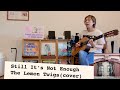 Still It’s Not Enough - The Lemon Twigs(cover)