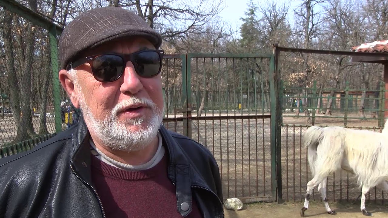 Ламата Снежко и понито Рони са най- новите обитатели на зоокът “Кенана”