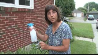 2 the Garden: Getting Rid of Japanese Beetles