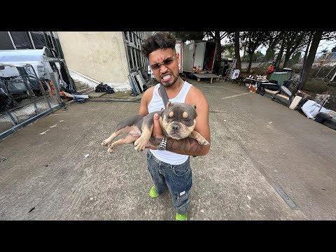 [FREE] "BODRUM" LVBEL C5 x SEFO Reggaeton Type Beat