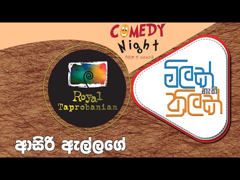 කොමඩි නයිට් 02