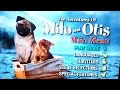 Opening To Milo And Otis 1999 DVD