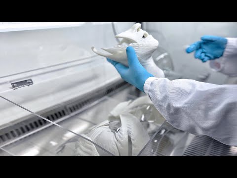 Harmonizer-Decompression Bio-Wellness Patch