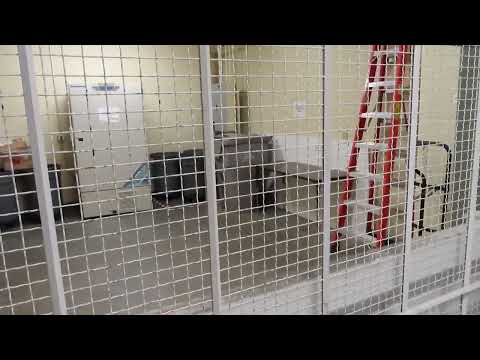 Epic motor!  REBELLING Schindler hydraulic freight elevator at Othmer Hall UNL